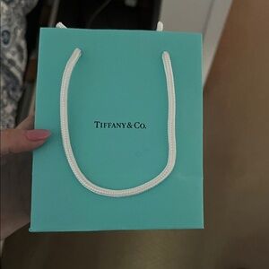 Tiffany & Co. Turquoise Bag with White Handles